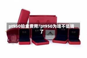 pt950铂金费用/pt950为啥不值钱了