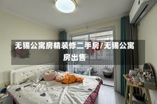 无锡公寓房精装修二手房/无锡公寓房出售