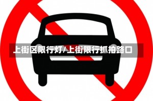 上街区限行灯/上街限行抓拍路口