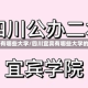 四川宜宾有哪些大学/四川宜宾有哪些大学的分校区