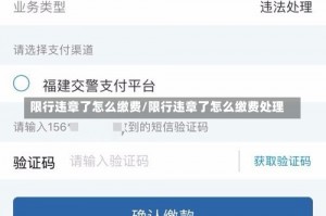限行违章了怎么缴费/限行违章了怎么缴费处理