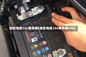 骆驼电瓶12v费用表(骆驼电瓶12v费用表v45)