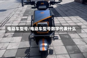 电动车型号/电动车型号数字代表什么