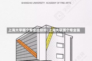 上海大学哪个专业比较好/上海大学哪个专业强