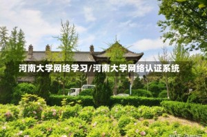 河南大学网络学习/河南大学网络认证系统