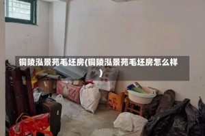 铜陵泓景苑毛坯房(铜陵泓景苑毛坯房怎么样)