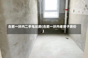 合肥一环内二手毛坯房(合肥一环内老房子房价)