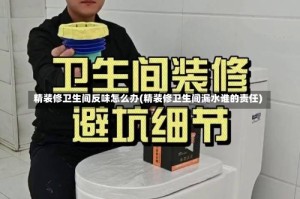 精装修卫生间反味怎么办(精装修卫生间漏水谁的责任)