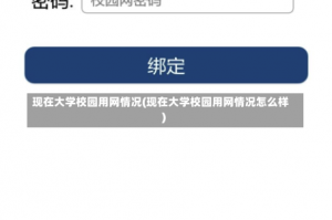 现在大学校园用网情况(现在大学校园用网情况怎么样)