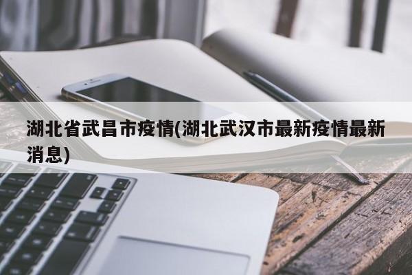 湖北省武昌市疫情(湖北武汉市最新疫情最新消息)