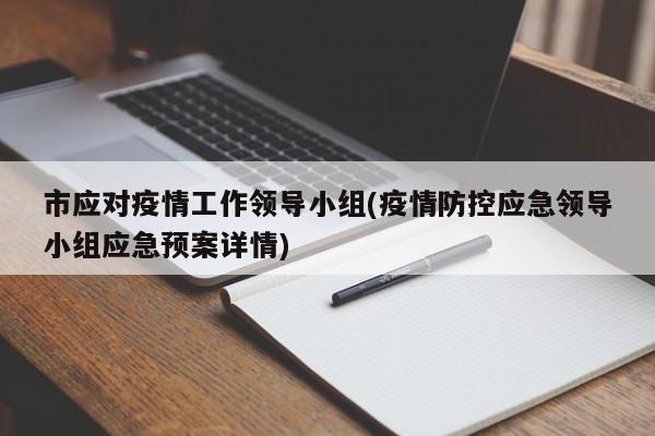 市应对疫情工作领导小组(疫情防控应急领导小组应急预案详情)